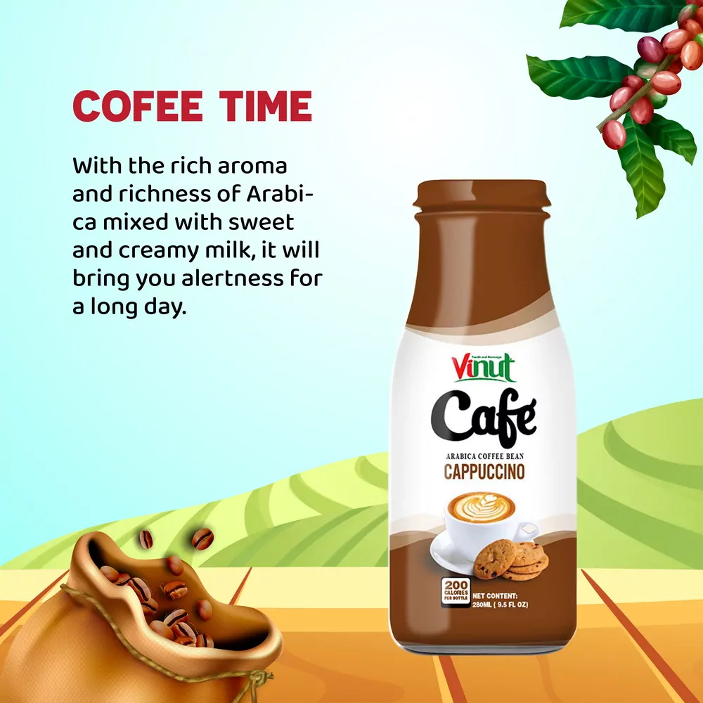 Box 4 x 9.5 fl oz Vinut Cappuccino Coffee drink (Arabica coffee bean)