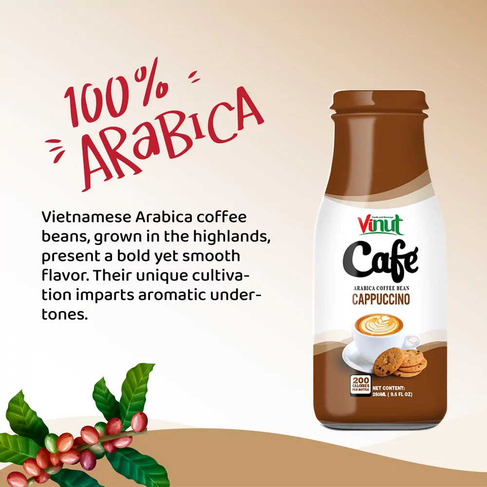 Box 4 x 9.5 fl oz Vinut Cappuccino Coffee drink (Arabica coffee bean)