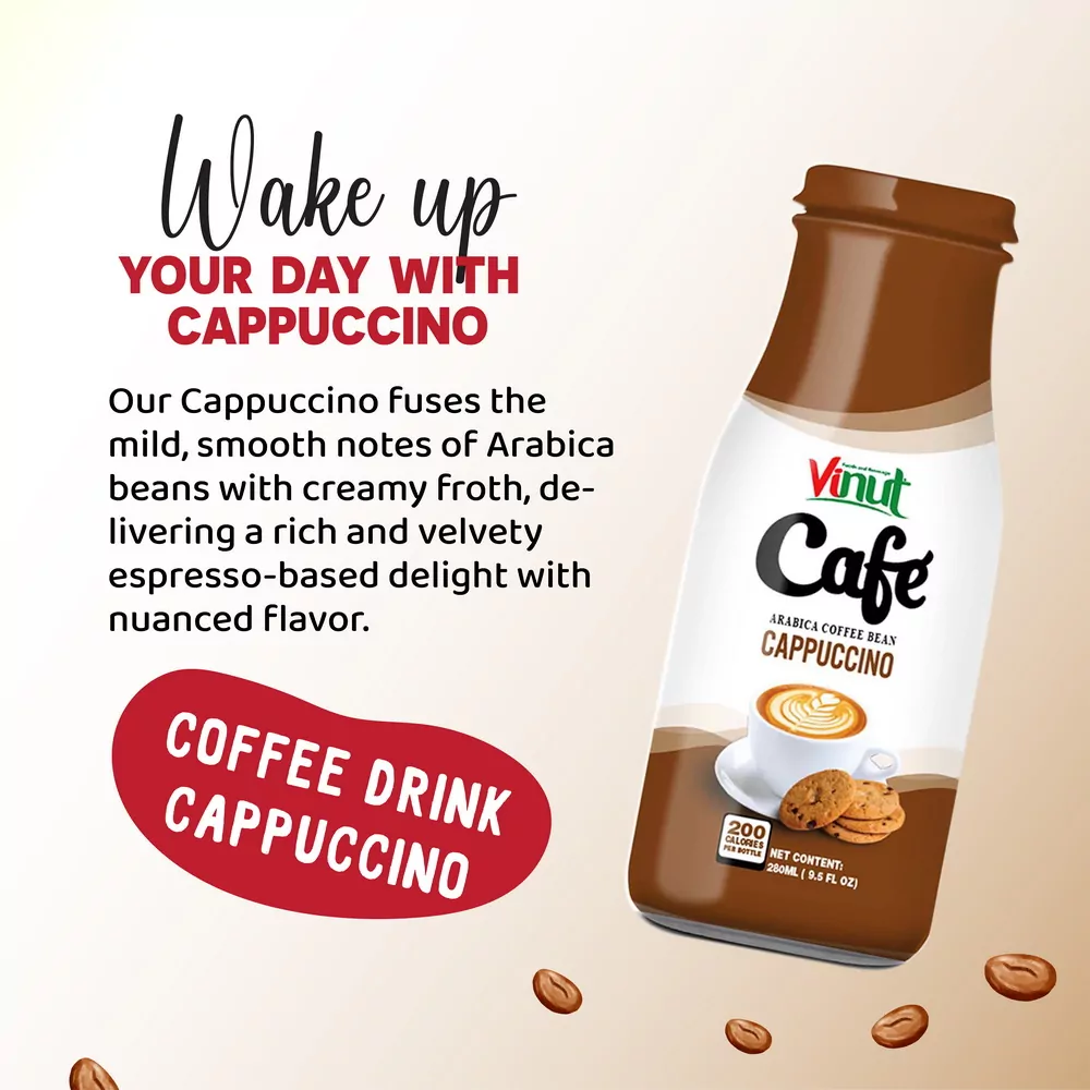 Box 4 x 9.5 fl oz Vinut Cappuccino Coffee drink (Arabica coffee bean)