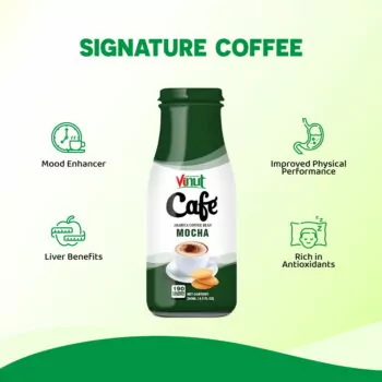 Box 4 x 9.5 fl oz Vinut Mocha coffee drink (Arabica coffee bean)
