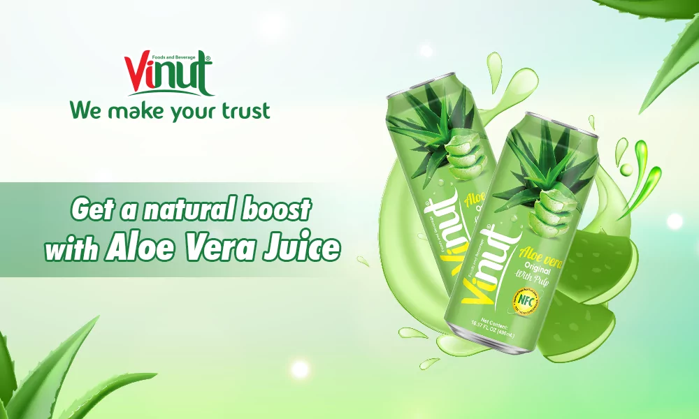 33.8 fl oz VINUT Bottle Aloe Vera Drink with fruit punch 1 VINUT Aloe Vera Juice
