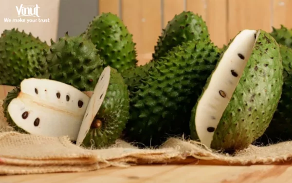 Soursop Juice: A Tropical Superfood for Detox and Digestion 15 VINUT_ What is Sourop?