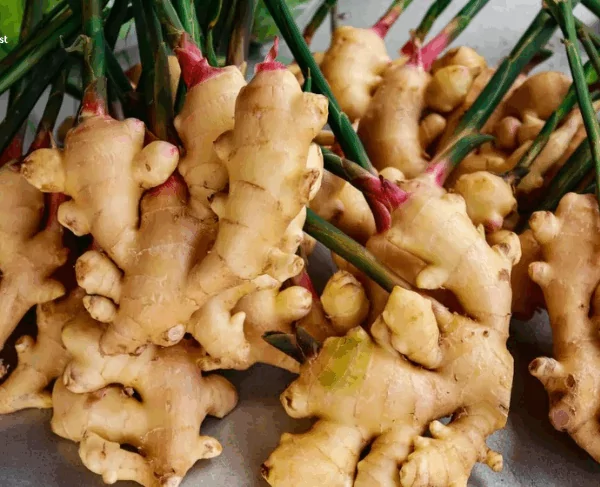 Pineapple Juice for a Healthy Gut and Strong Immunity 33 VINUT_Combine with Other Superfoods