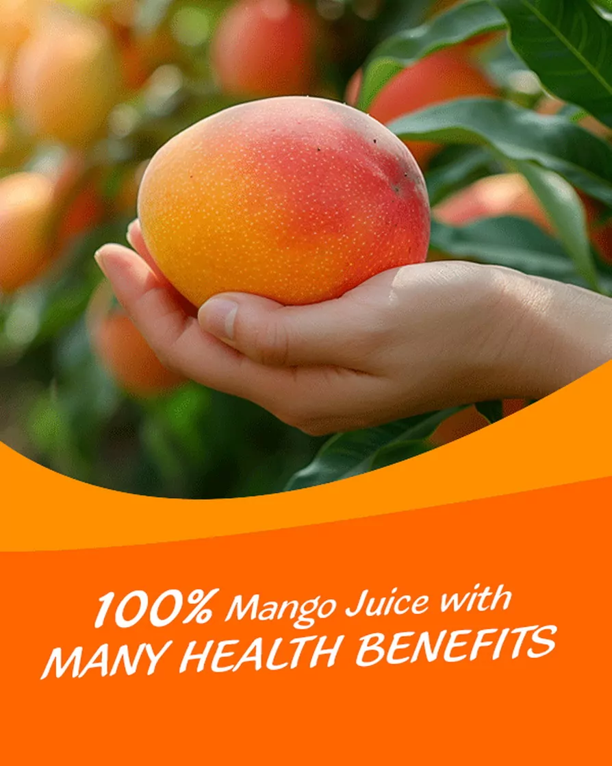 100% Mango Juice drink vinut without pulp 600x750