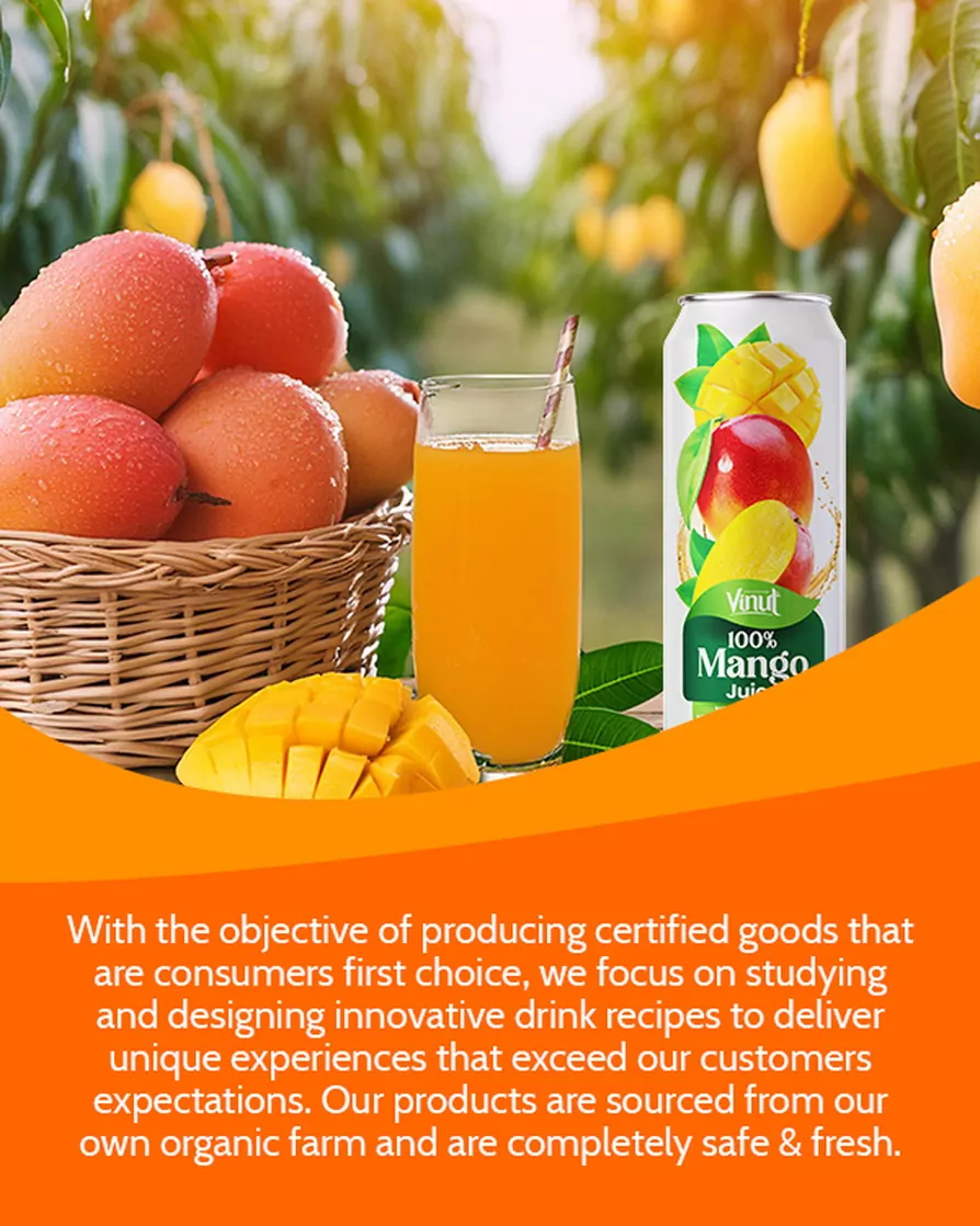 100% Mango Juice drink vinut without pulp 600x750_1