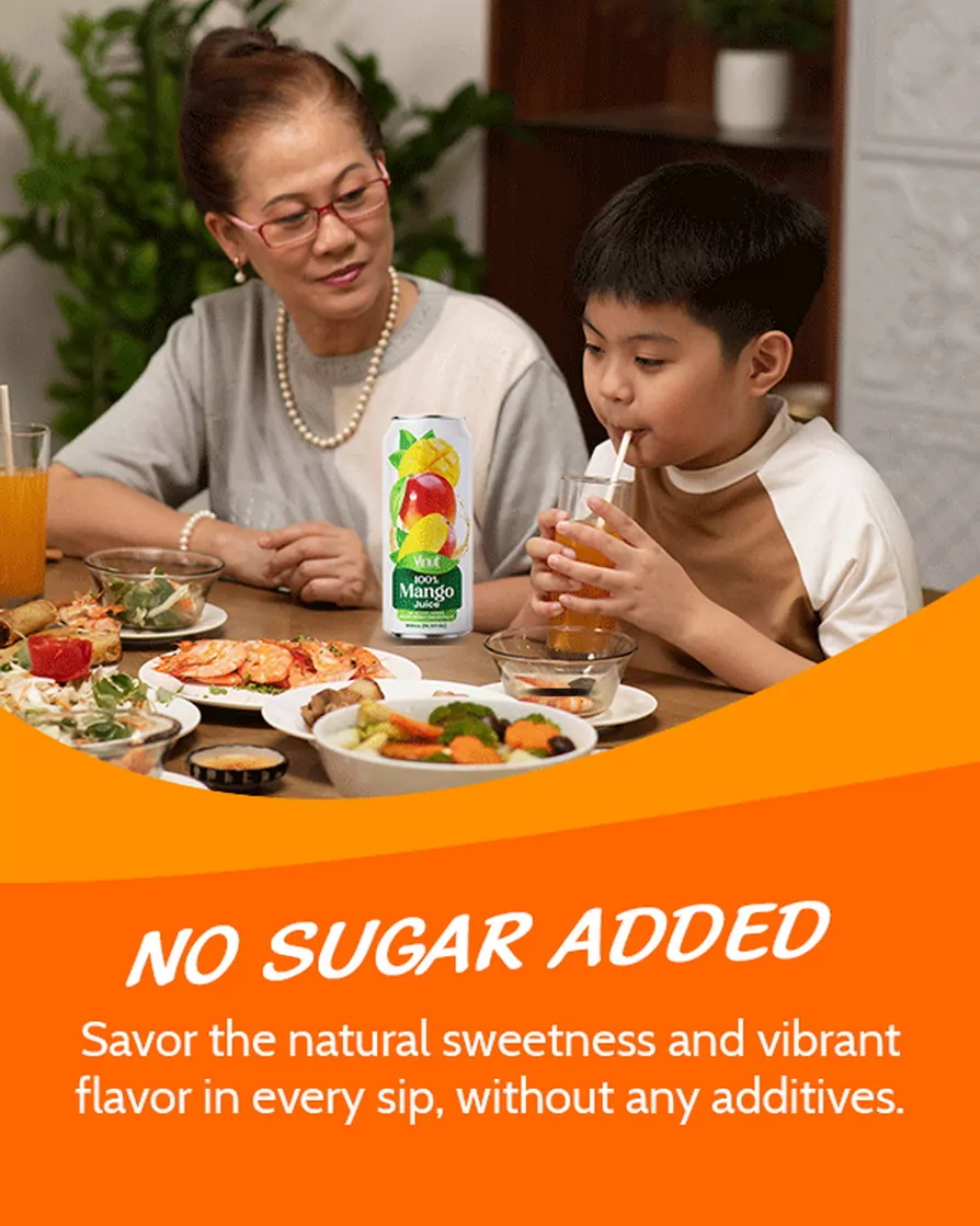 100% Mango Juice drink vinut without pulp 600x750_2