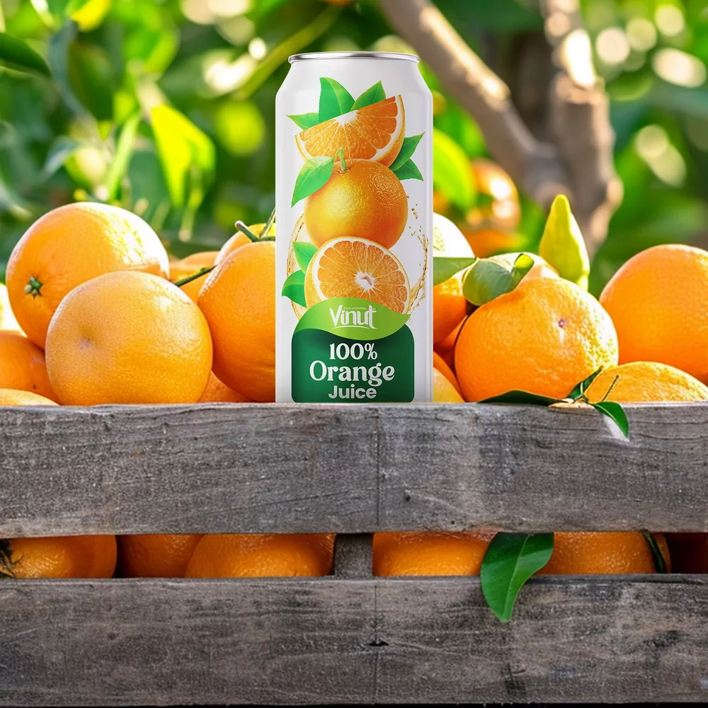 16.9 fl oz Vinut 100% NFC Orange Juice Drink (No Sugar Added)