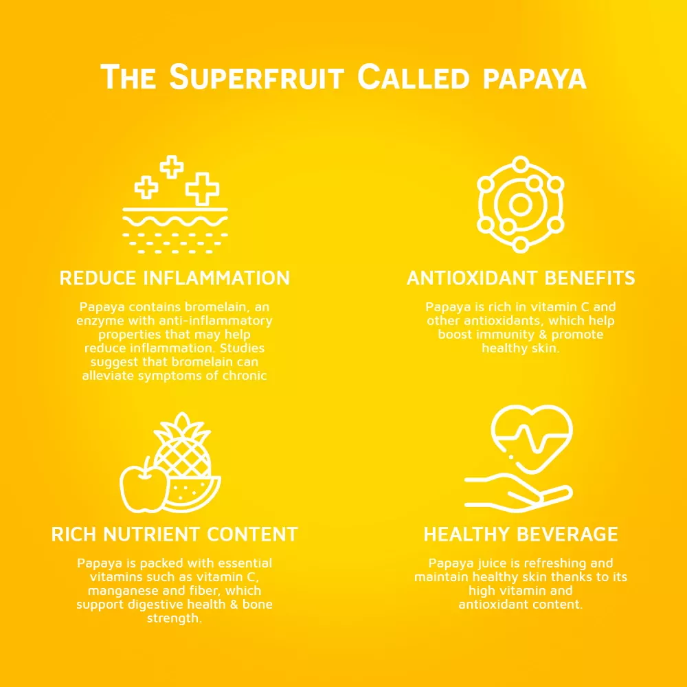 100 Papaya Juice drink vinut without pulp