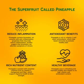 16.9 fl oz Vinut 100% NFC Pineapple Juice Drink (No Sugar Added)