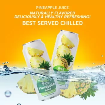 16.9 fl oz Vinut 100% NFC Pineapple Juice Drink (No Sugar Added)