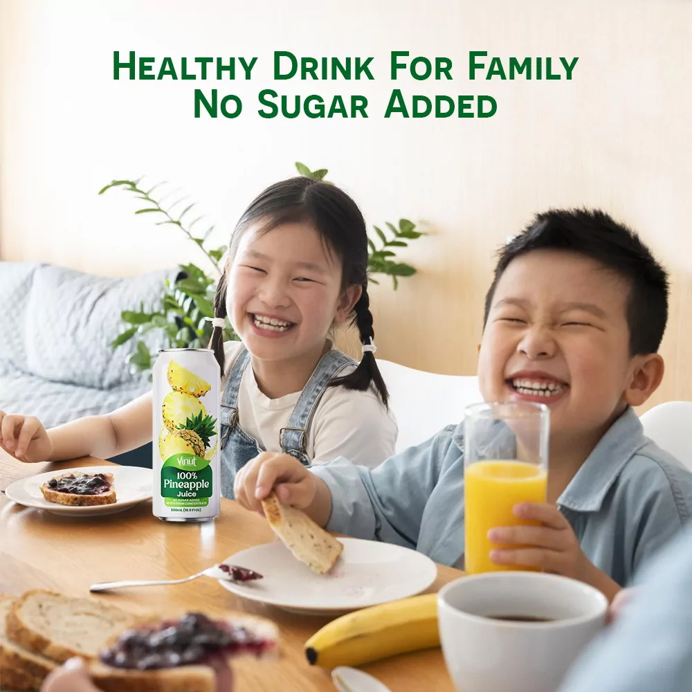 16.9 fl oz Vinut 100% NFC Pineapple Juice Drink (No Sugar Added)
