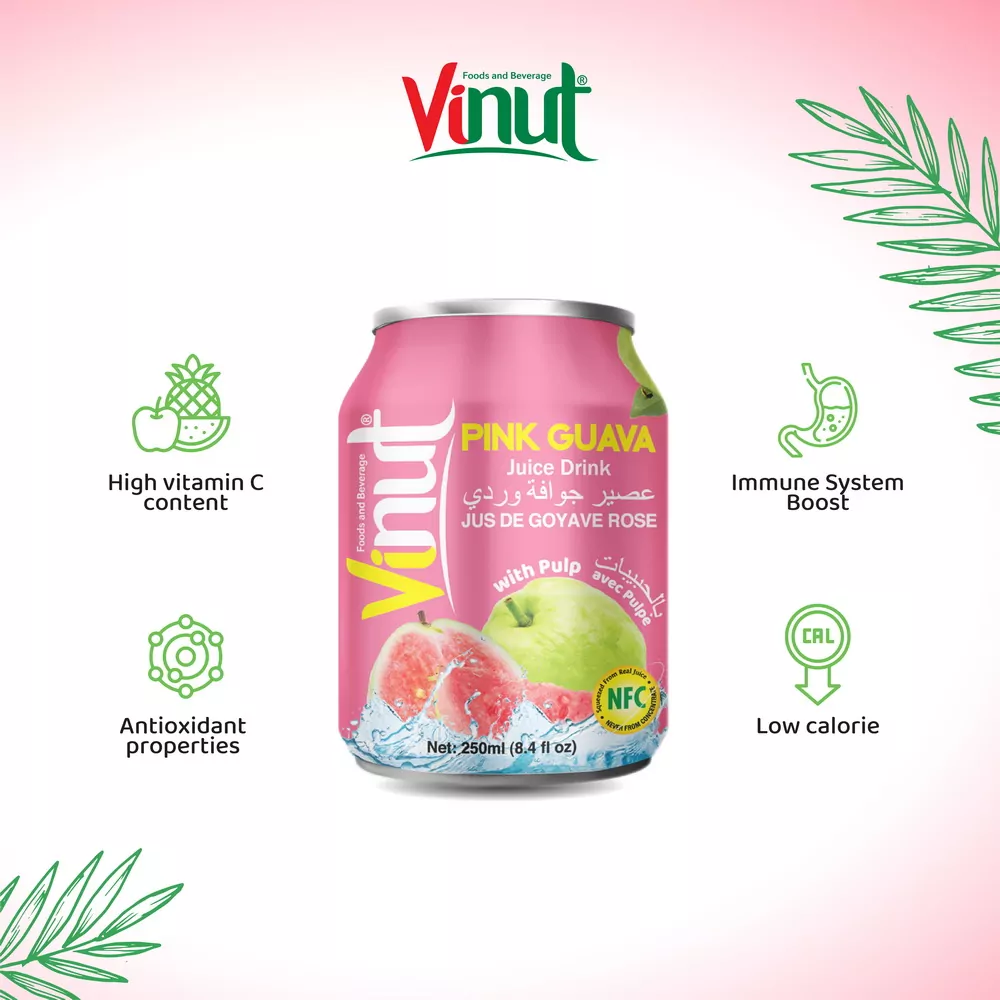 250ml Vinut Guava Juice drink with Pulp 2 1