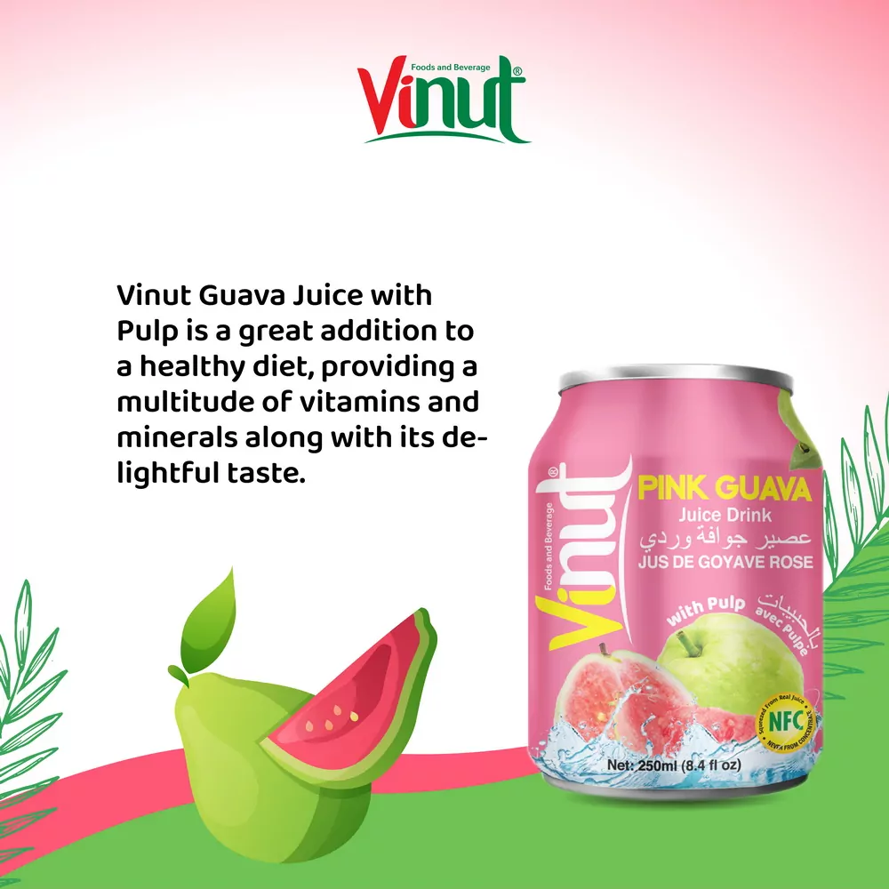 250ml Vinut Guava Juice drink with Pulp 3 1
