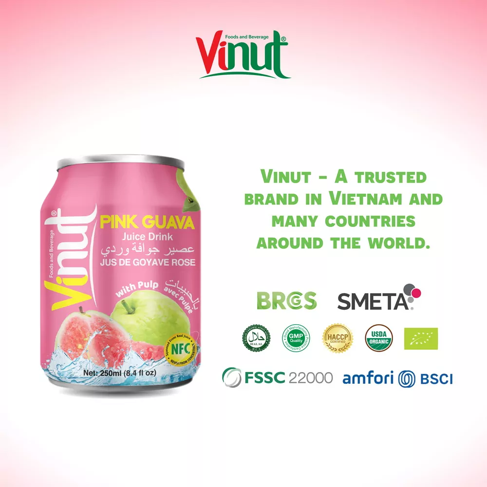 250ml Vinut Guava Juice drink with Pulp 4 1
