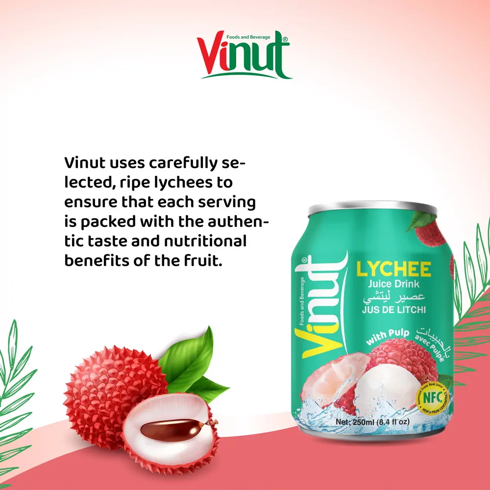 250ml Vinut Lychee Juice drink with Pulp 3 1