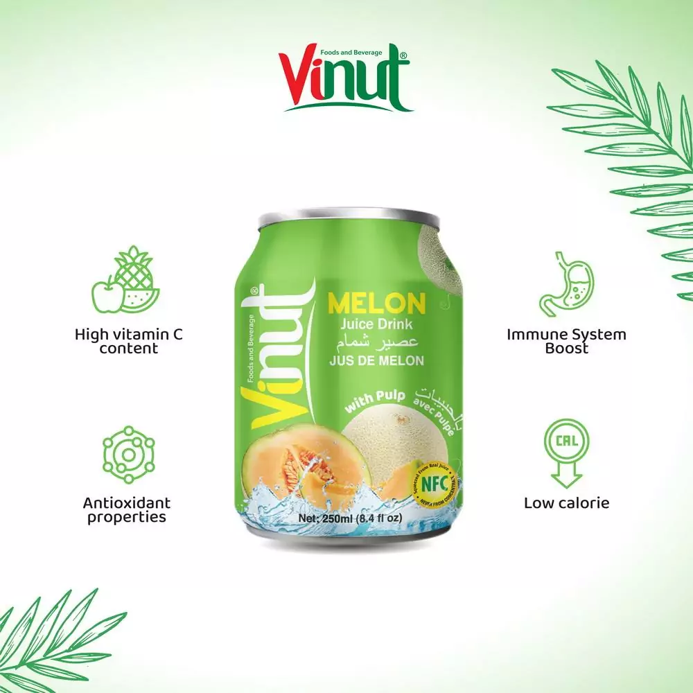250ml Vinut Melon Juice drink with Pulp 2