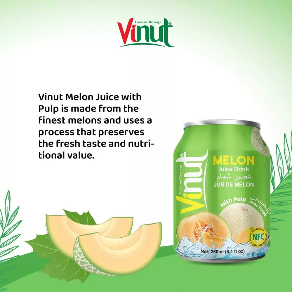 250ml Vinut Melon Juice drink with Pulp 3