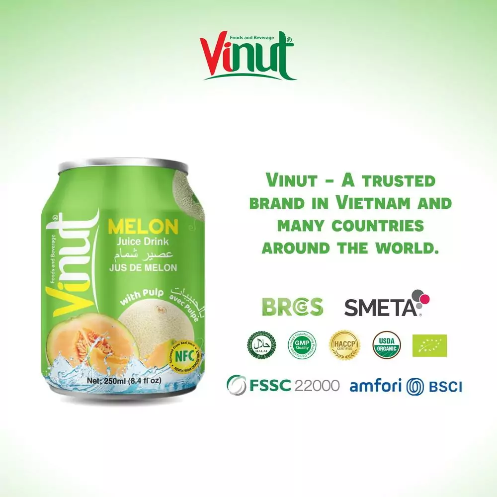 250ml Vinut Melon Juice drink with Pulp 4