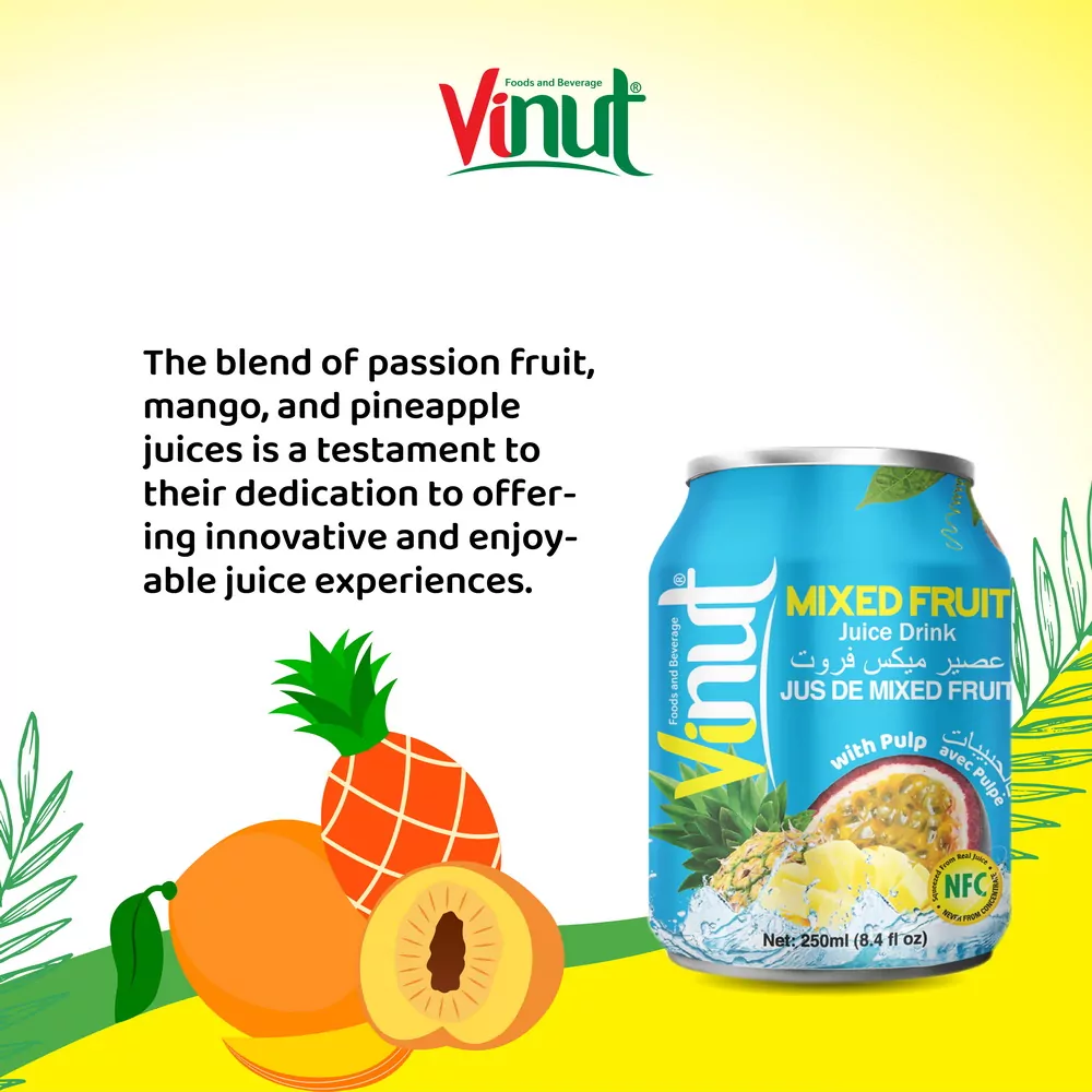 250ml Vinut Mixed fruit Juice drink with pulp 3 1