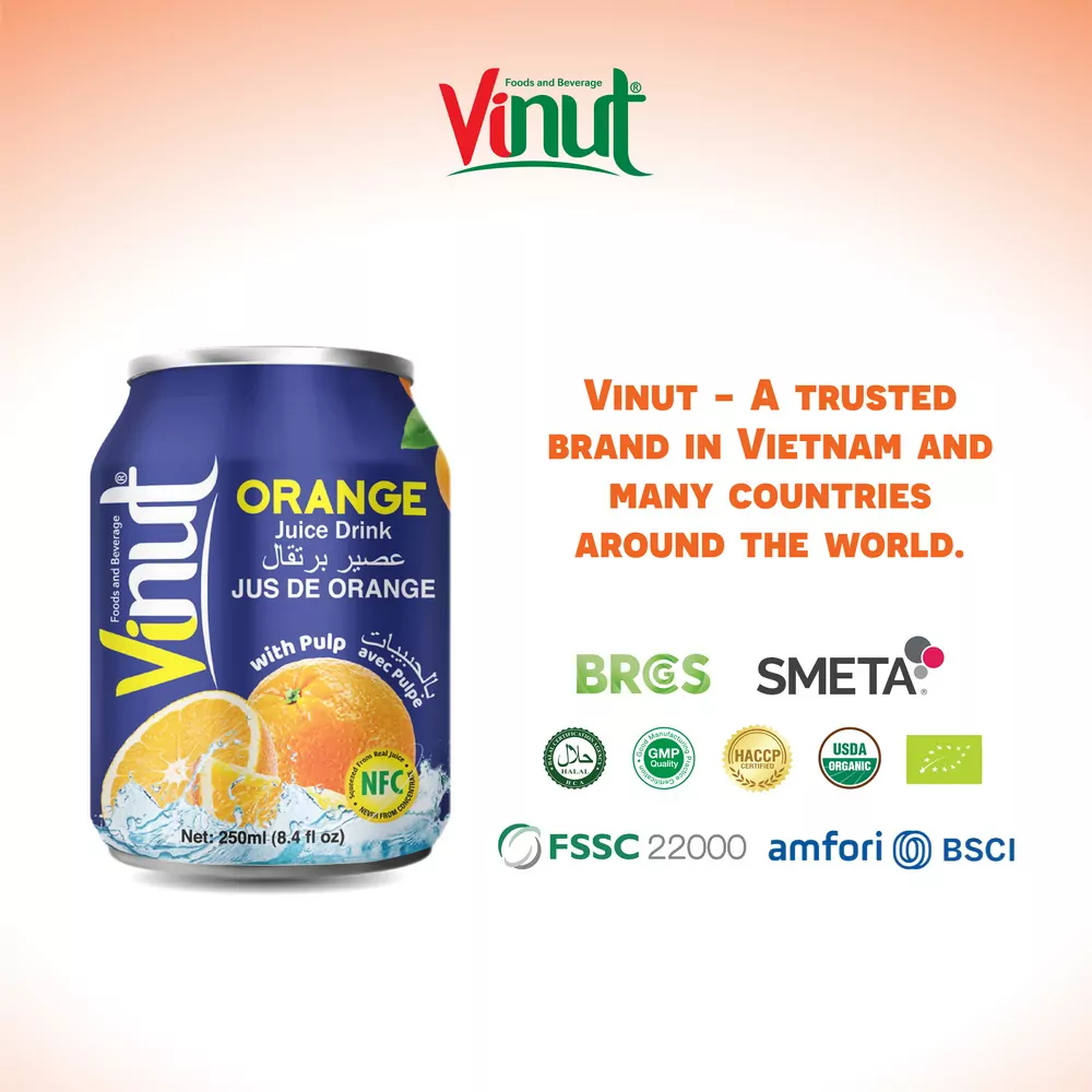 250ml Vinut Orange Juice drink with Pulp 4 1