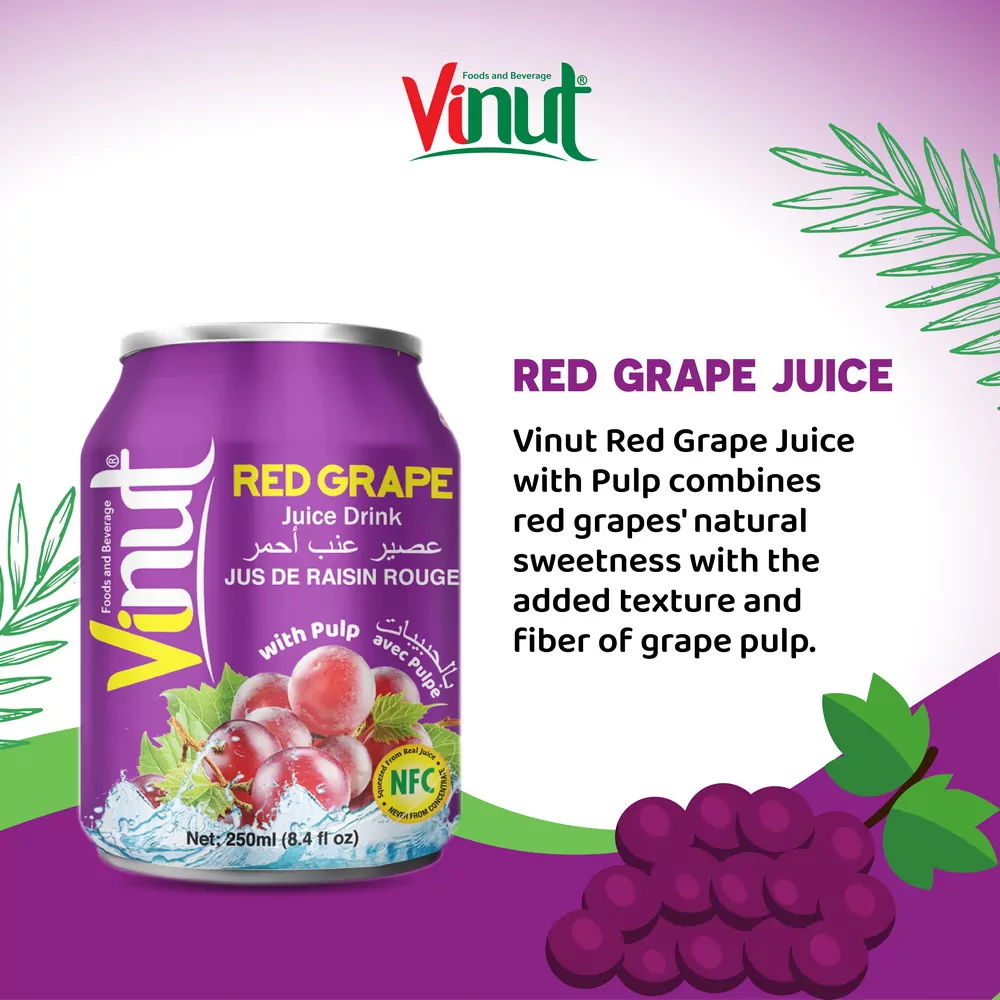 250ml Vinut Red Grape Juice drink with Pulp 1