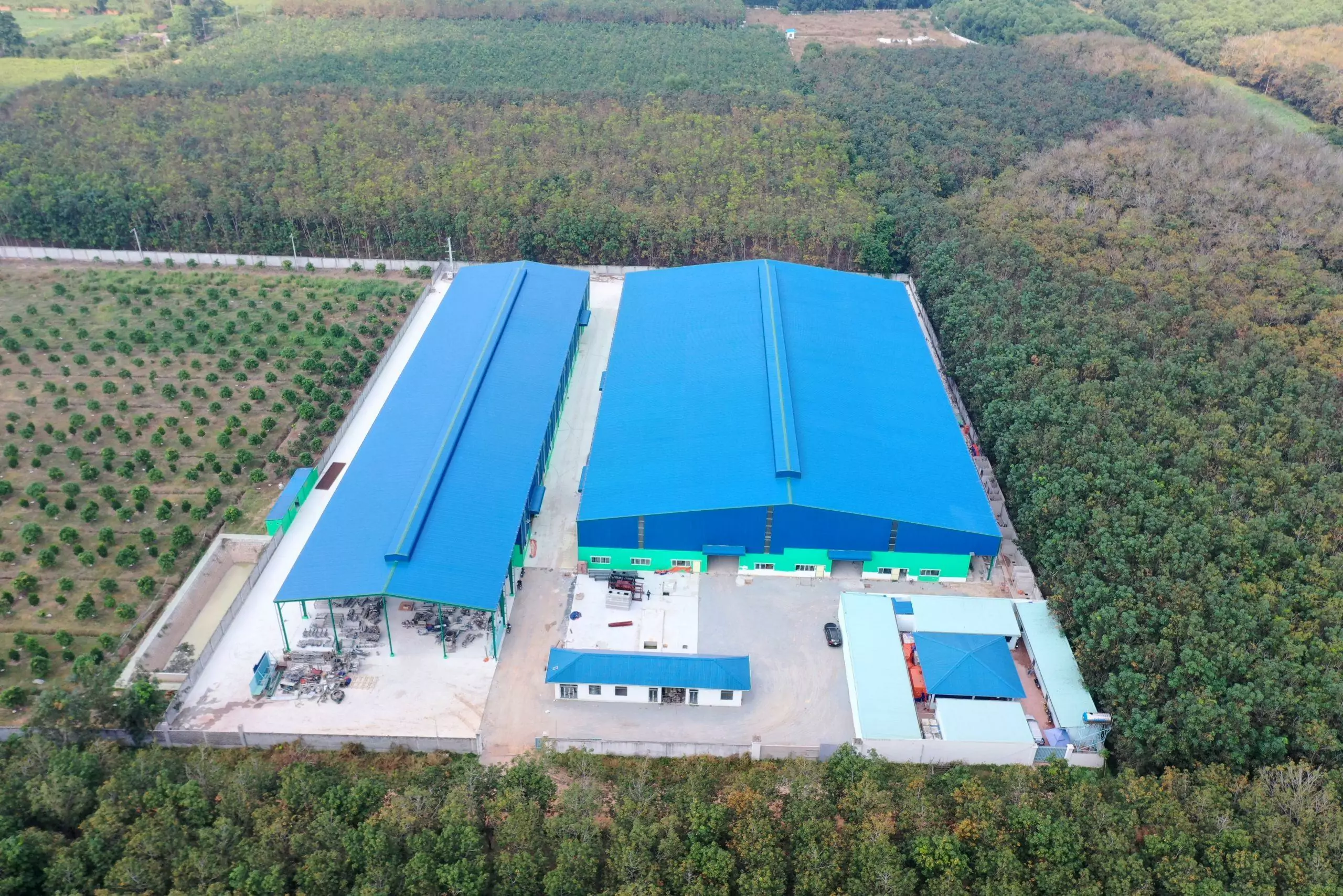 Nam Viet Ben Cat Factory Achieves Recognition with the Global Standard Food Safety Issue 9 Certificate 1 DJI 0830 scaled