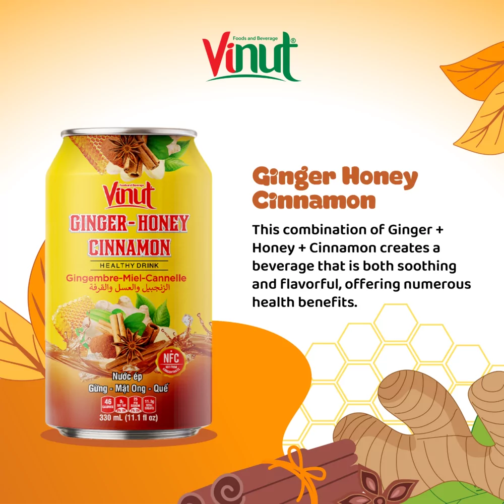 Ginger Honey Cinamon 330ml 01