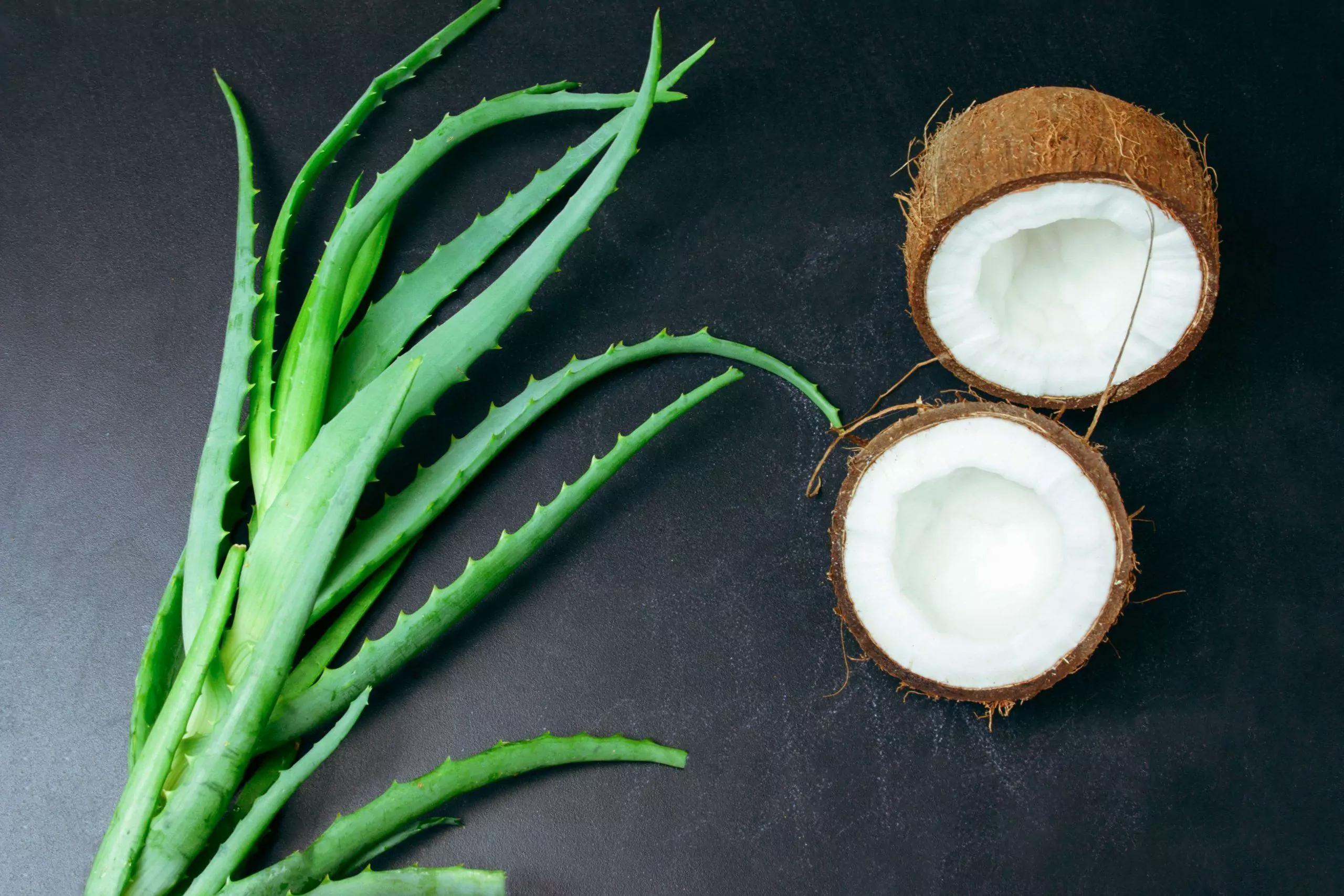 Coconut Aloe Vera Drink A Refreshing Blend of Nature's Goodness 1 coconut aloe vera drink a refreshing blend of nature s goodness 64aca5c57157d