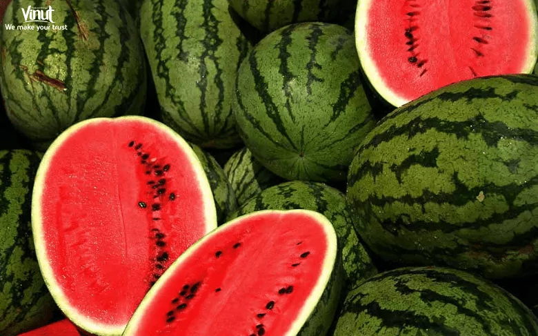 Exploring the World's Top 10 Popular Fruits 23 VINUT_Watermelon