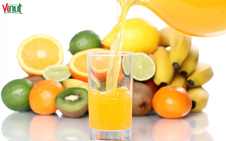 Top 5 Juice for Diet: A Comprehensive Guide to Harnessing Nature's Elixir for Weight Loss 10 VINUT_The Science Behind Juice for Diet