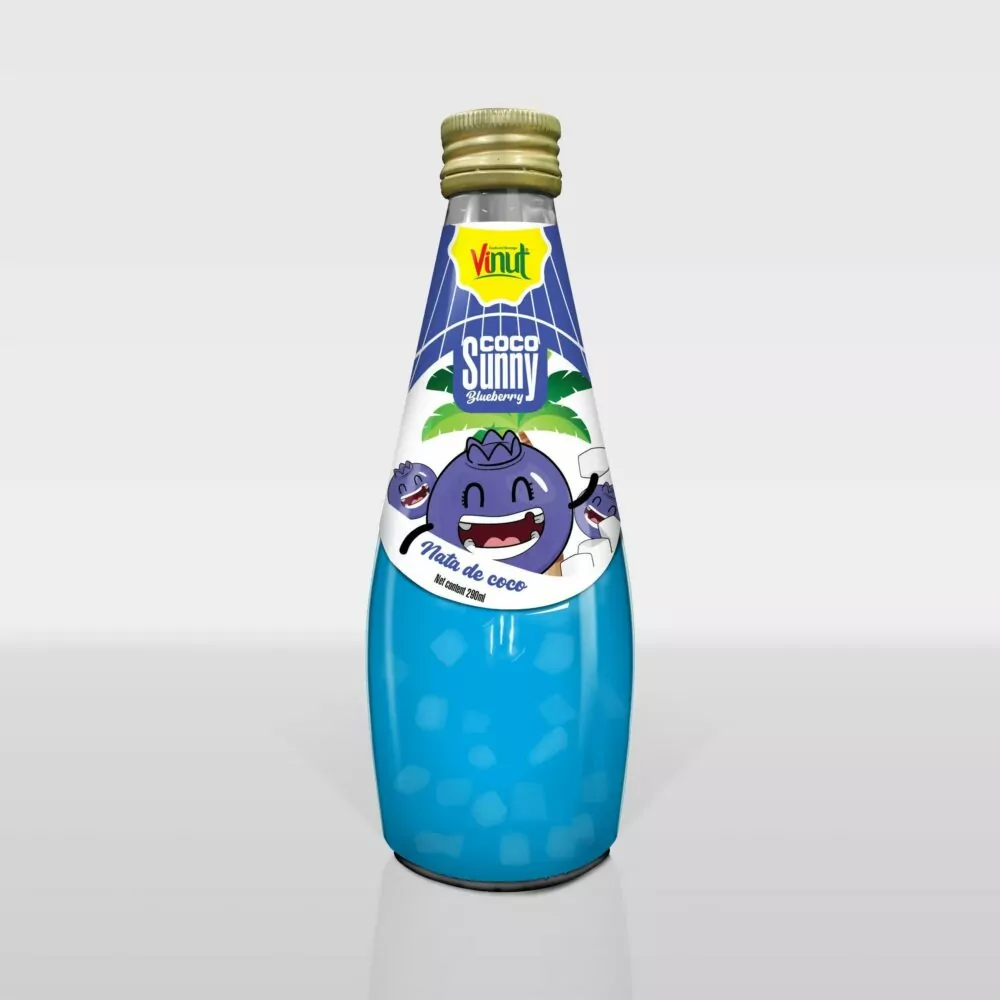 290ml Vinut Coco Sunny Blueberry with Nata de coco - Image 1