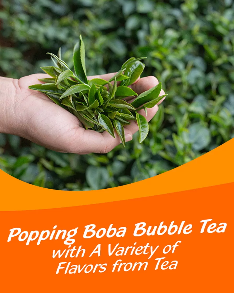 320ml Popping Boba Bubble Tea With Mango Flavor 600x750