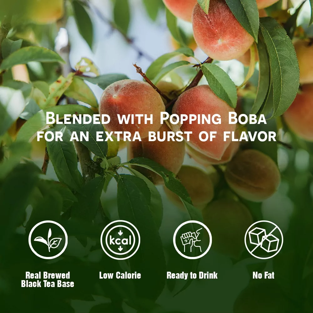 320ml Popping Boba Bubble Tea With Peach Flavor 1000x1000 1 1