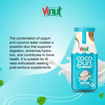 280ml Vinut Cocogurt (Coconut milk) drink Original (Lactose free, Dairy free, Plant based)