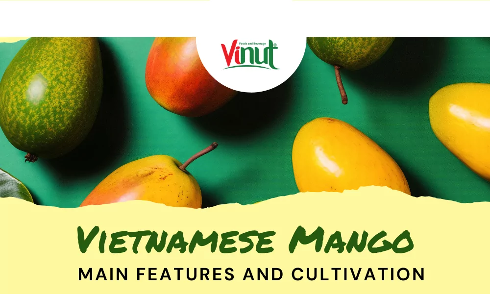 Vietnamese Mango: Main Features and Cultivation 1 Vietnamese Mango: Main Features and Cultivation