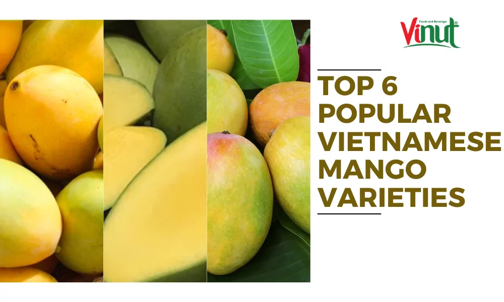 Top 6 Popular Vietnamese Mango Varieties 1 Top 6 Popular Vietnamese Mango Varieties