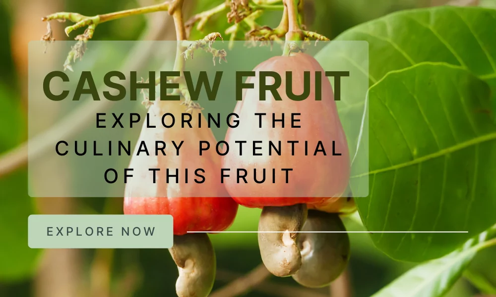 Cashew Fruit: Exploring the Culinary Potential of This Fruit 1 Cashew Fruit: Exploring the Culinary Potential of This Fruit