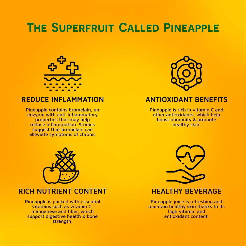 Pineapple Juice drink vinut 100 1000x1000 3