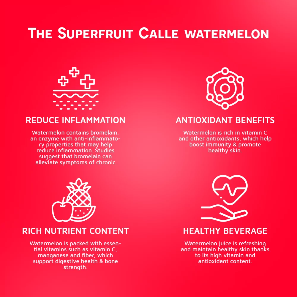 Watermelon Juice drink 100 490ml