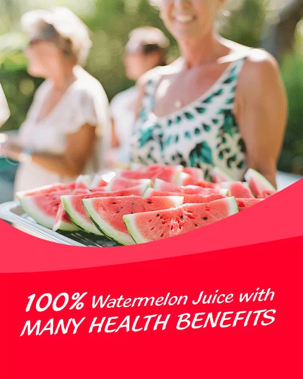 Watermelon Juice drink 100% 490ml 600x750