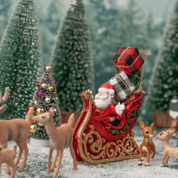 All Speacial Things About Christmas 9 website 2