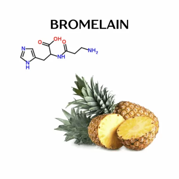 The Anti-Inflammatory Benefits of Pineapple Juice 23 VINUT_Bromelain: The Unique Enzyme