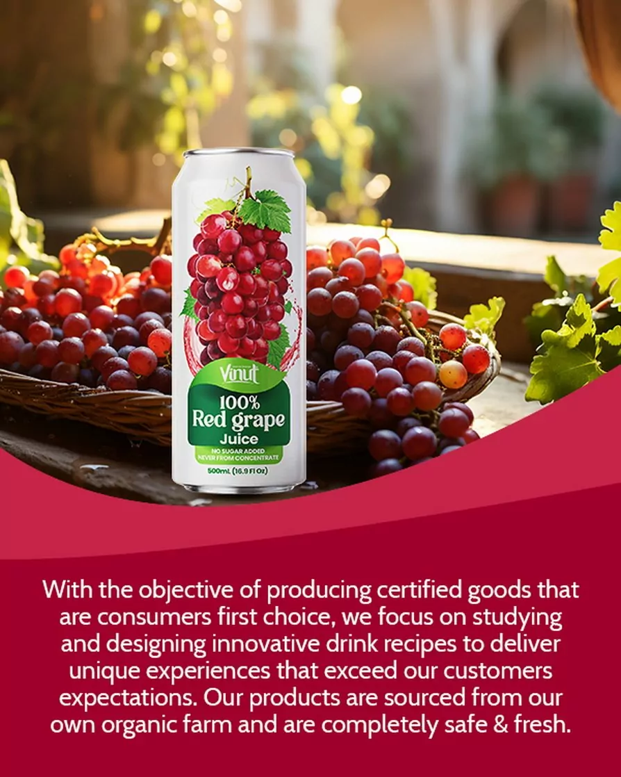 100-Red-Grape-Juice-drink-vinut-without-pulp-600x750_1.jpg