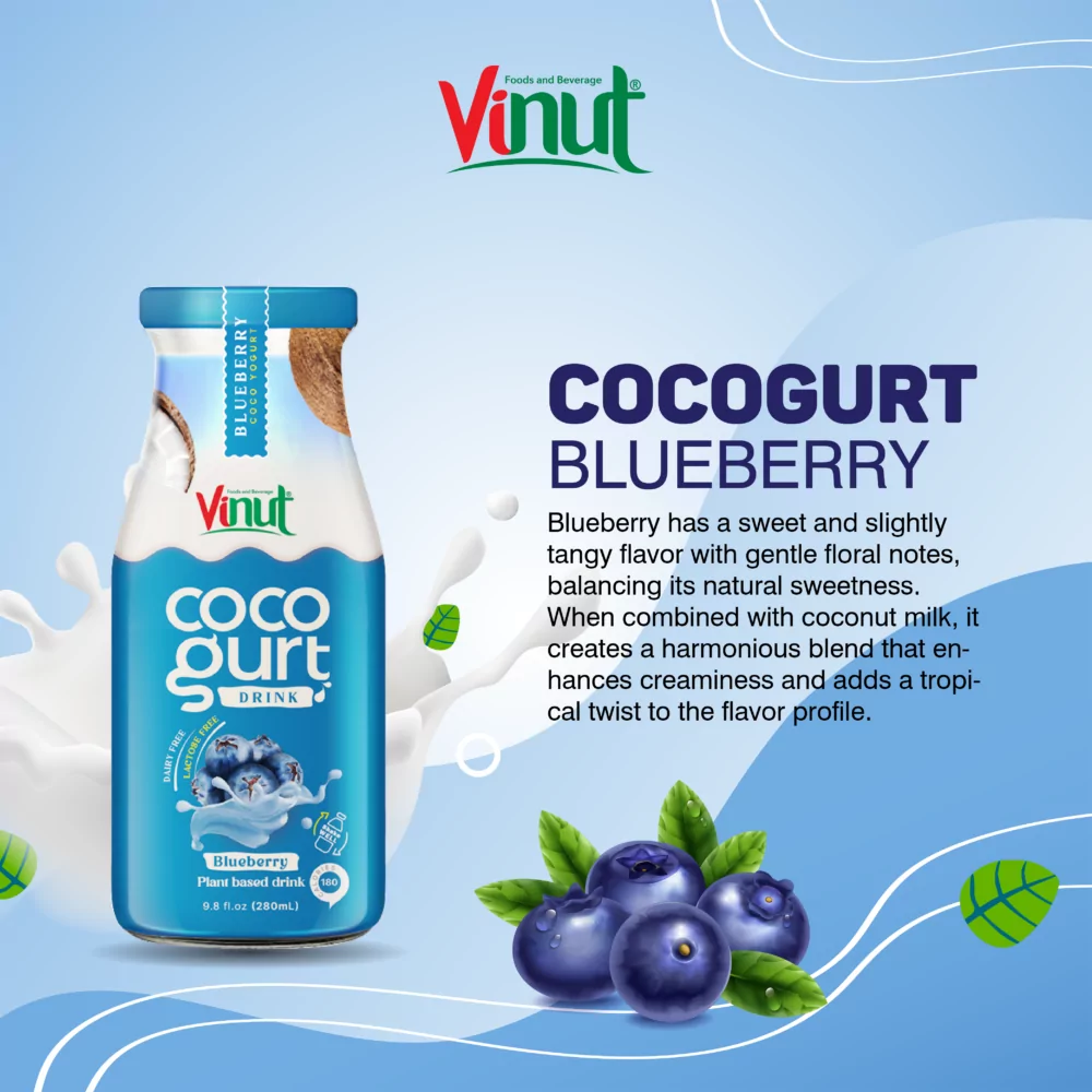 280ml Vinut Cocogurt (Coconut milk) drink with Blueberry (Lactose free, Dairy free, Plant based)