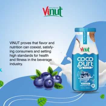 280ml Vinut Cocogurt (Coconut milk) drink with Blueberry (Lactose free, Dairy free, Plant based)