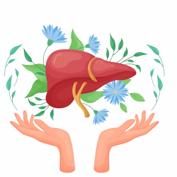 The Incredible Health Benefits of Red Grape Juice 26 VINUT_Detoxification and Liver Health