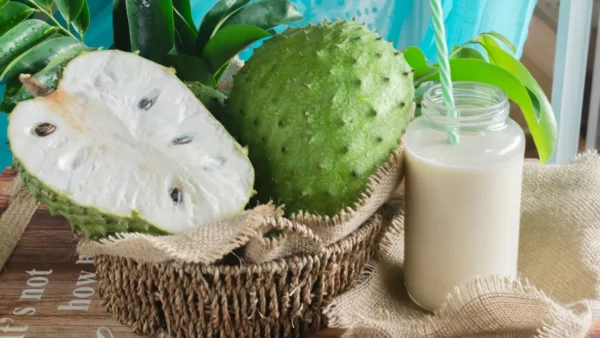 Soursop Juice: A Tropical Superfood for Detox and Digestion 16 VINUT_Soursop Juice for Detox: A Natural Cleanse for Your Body