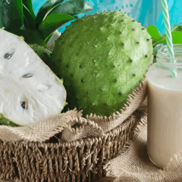 Soursop Juice: A Tropical Superfood for Detox and Digestion 16 VINUT_Soursop Juice for Detox: A Natural Cleanse for Your Body