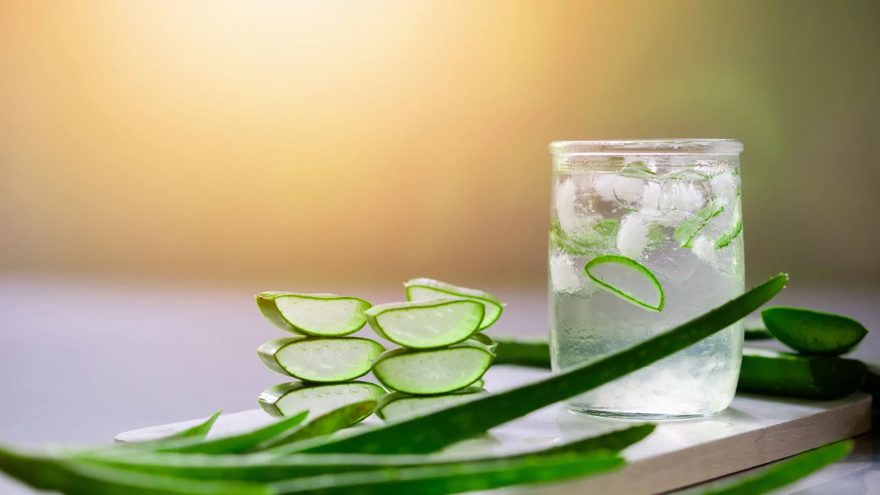 Unlocking the Health Secrets of Aloe Vera Drinks 14 Unlocking the Health Secrets of Aloe Vera Drinks