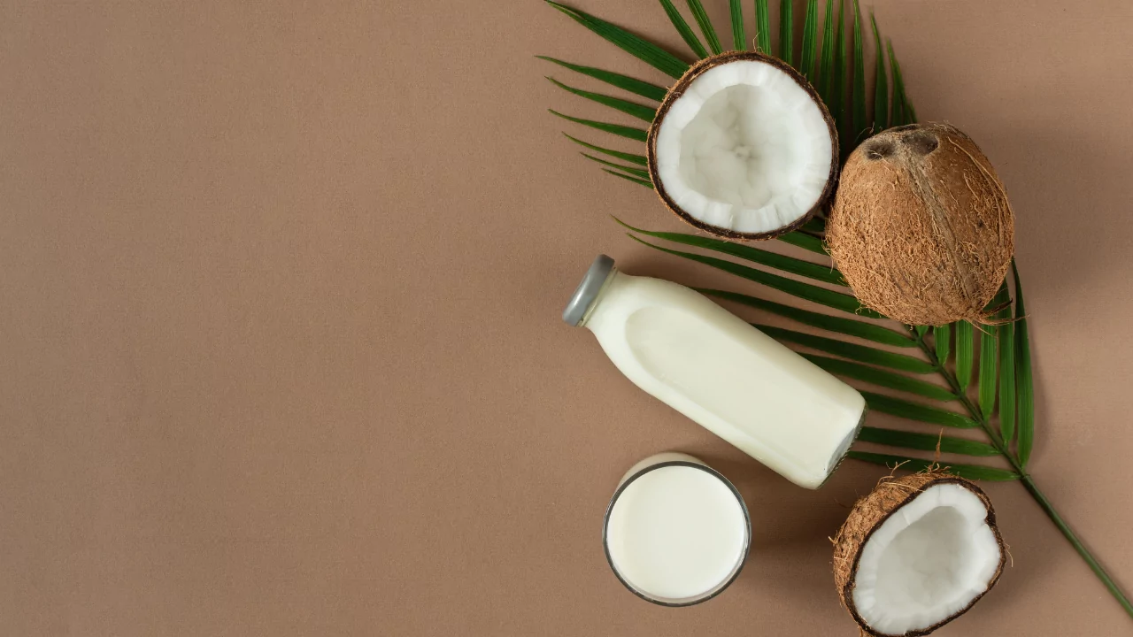 The Ultimate Guide to Coconut Milk: Benefits and Uses 18 VINUT_What Is Coconut Milk?